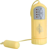Doc Johnson Mini Bullet Vibrator and Controller Mini & Slim Vibrators